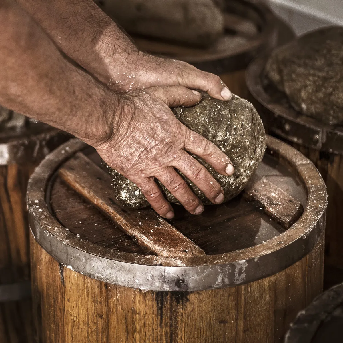 밤나무 통 숙성